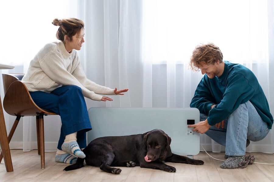 How to Adopt a Rescue Dog: What to Expect During the Process
